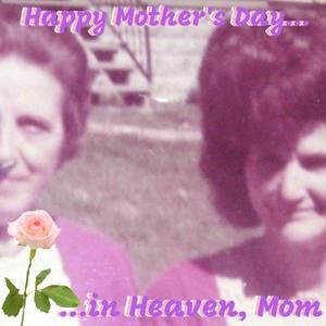 Meet your Posher, Glenda randy